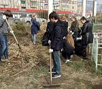 В Астрахани группа волонтеров прибралась на Старом кладбище