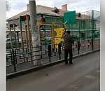 Бродячие собаки напугали ребёнка и загнали его на турник