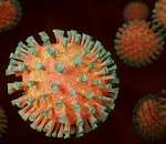 За минувшие сутки в России скончалось рекордное количество зараженных коронавирусом