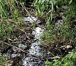 В астраханскую реку текла канализация