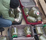 Астраханский слесарь закатал в банки 8 кг веселых веществ