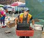 В Астрахани не прекращаются рейды на Больших Исадах 