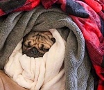 В Астрахани немного потеплеет