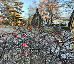 Завтра в Астраханской области обещают до +21 градуса