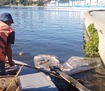 Канал у моста Влюбленных в Астрахани страдает от свадебных гуляний