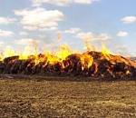 В астраханском селе сгорело несколько тонн сена