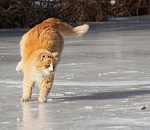 Зимние. Жаркие. Твои. В Астраханской области будут развивать зимние виды спорта