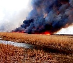 В Наримановском районе за последние дни трижды горела степь