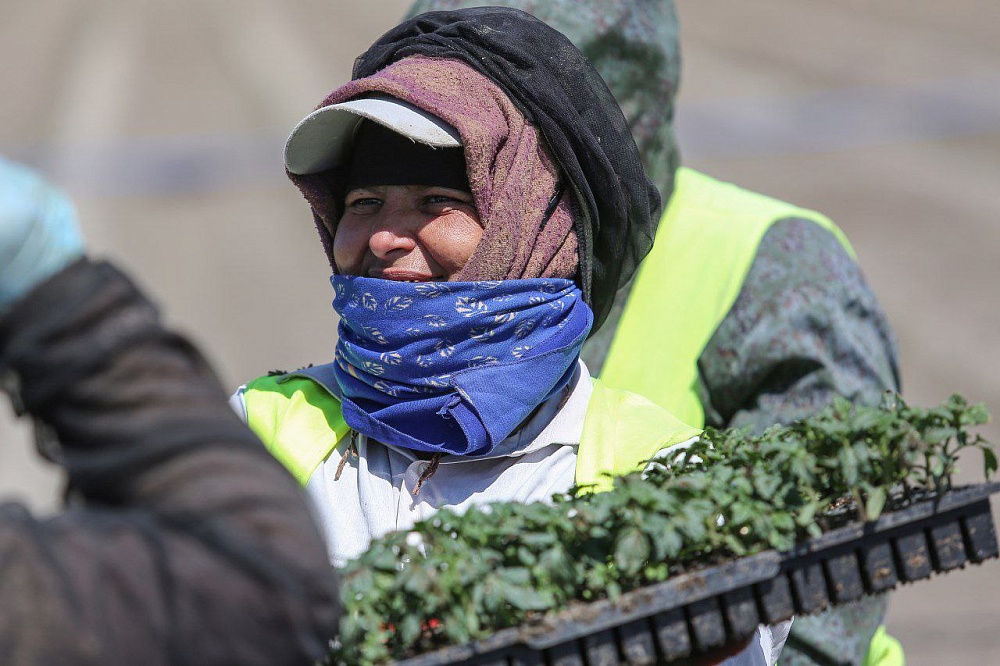 Астраханская область нуждается в мигрантах