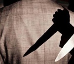 Карен Григорян считает, что Алена Губанова вставила нож в спину губернатора