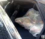 Полиция изъяла у астраханца 200 килограмм судака без документов