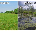 Многодетные семьи в Астрахани так и не получили землю. Мы выяснили, почему