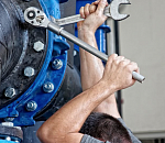 В голосовалке по выборам президента активно накручивают голоса в пользу Путина