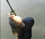 Наглая выдра вцепилась в сазана и попыталась отобрать его у рыбака. ВИДЕО