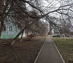 Астраханские коммунальщики приступили к опиловке опасных деревьев на Безжонова 