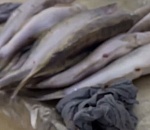 На рынках Астрахани изъяли 350 кг сомнительной рыбы