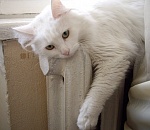 В Астрахани 8 апреля завершится отопительный сезон 