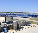 АПК «Астраханский»: производство от рассады до томатной пасты