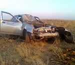 За час на одном участке трассы произошло два ДТП из-за крупного рогатого скота