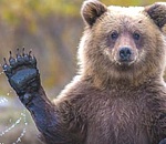 «ЕР» поделится с оппозицией: партия поможет пройти СР муниципальный фильтр