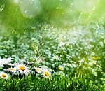 В Астраханской области жара временно отступила до +30°С