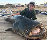 Сома-монстра длиной 2,5 метра поймали под Астраханью