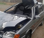 Под Астраханью автомобиль врезался в верблюда: три человека пострадали, животное погибло