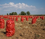 Астраханскую область открыли для трудовых мигрантов. Ожидаем