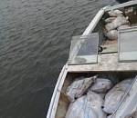 В Астрахани браконьеры наловили рыбы на 6,5 миллионов рублей