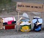 Астраханцы старательно превращают Городской остров в свалку