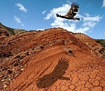 Блогеры советуют отдохнуть на майские в Астраханской области