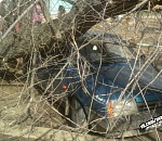 Месть природы: в Астрахани автомобиль прибило деревом