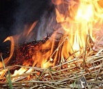 В Астраханской области из-за курильщика сгорели три тонны сена