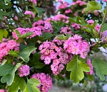 Завтра в Астраханской области будет немного прохладнее