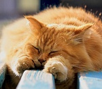 В понедельник прохлада не покинет Астрахань