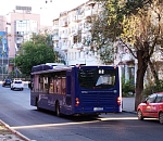 В Астрахани установлен новый рекорд в сфере пассажирских перевозок