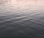 На Волге у Нового моста водолазы ищут утонувшего астраханца