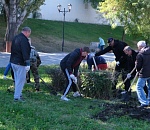 В центре Астрахани активно обновляется зеленая зона