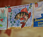 ЛУКОЙЛ выбрал победителей конкурса «Чистый взгляд-2019»