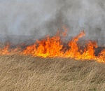 В Астраханской области поймано почти 400 поджигателей