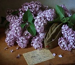 Куда пойти взрослым и детям сегодня, 9 мая, и в остальные дни каникул: астраханская афиша