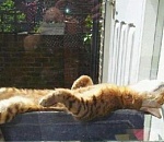 Синоптики обещают астраханцам теплый вторник