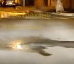 В центре Астрахани обнаружен термальный источник: видео