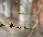 Завтра в Астраханскую область придет похолодание 