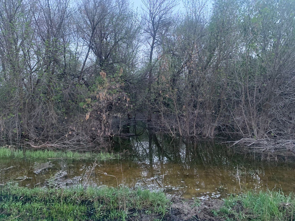Лодка с четырьмя людьми перевернулась на астраханской реке, утонула женщина