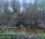 Лодка с четырьмя людьми перевернулась на астраханской реке, утонула женщина