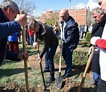 Тысячи астраханцев приняли участие в общегородском субботнике