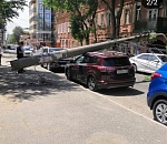 В эпицентре скандала: Астраханский столбопад попал в объектив камер НТВ