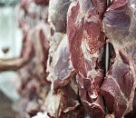 Астраханскую говядину впервые отправили на экспорт в новую страну