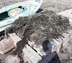 Не все герои носят плащи: астраханец по ночам уничтожает сети браконьеров